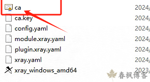 图片[5]-windows安装xray-春枫博客